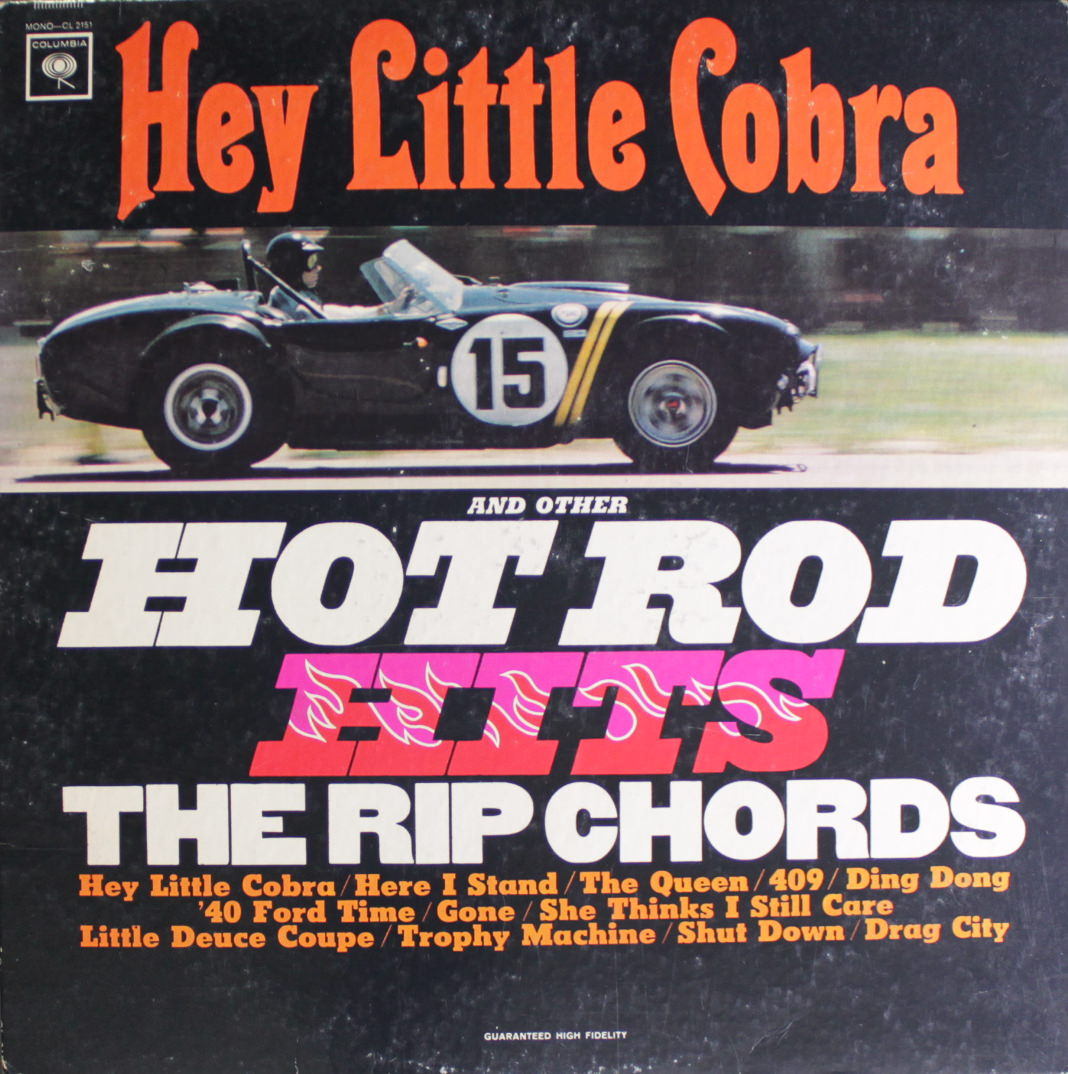Hey Little Cobra cover