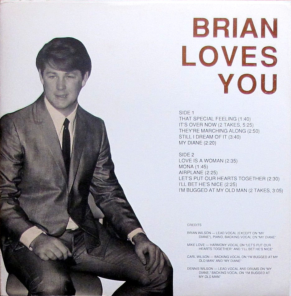 Brian Loves You cover