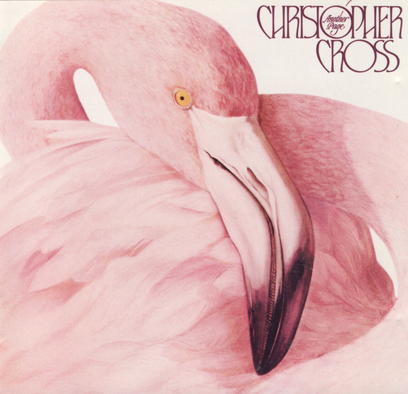 Christopher Cross: Another Page cover